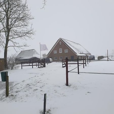 Anevelde Landelijk Gelegen Boerderij Aan De Pothofweg 아파트 외부 사진