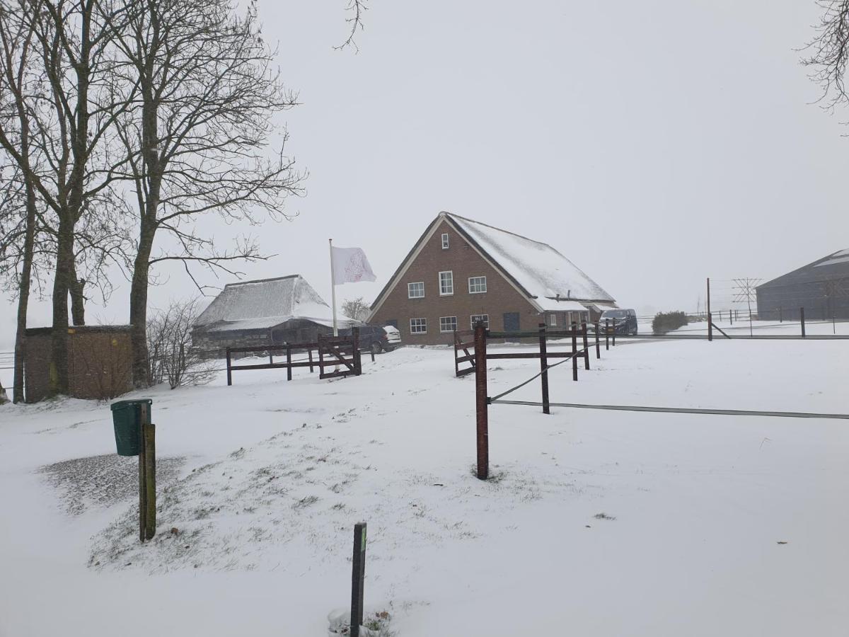 Anevelde Landelijk Gelegen Boerderij Aan De Pothofweg 아파트 외부 사진